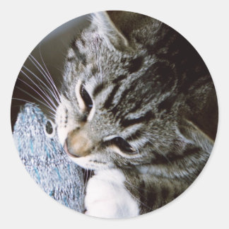 マウス付きナンシー ラウンドシール