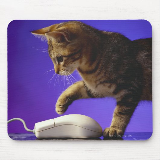 マウス付き子猫 マウスパッド (正面)