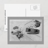 マウス安全春マウストラップ ポストカード (正面/裏面)