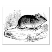 マウス本物のヴィンテージラバーアートスタンプ ラバースタンプ (インプリント)