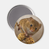 マウス磁石 マグネット (正面/裏面)