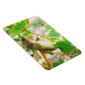 マウス磁石 マグネット (右側)