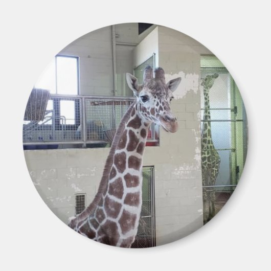 マウス磁石#2 マグネット (正面)