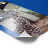 マウス4X6プリント#1 フォトプリント            (角)