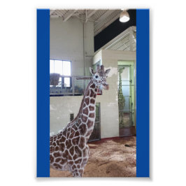 マウス4X6プリント#1 フォトプリント           