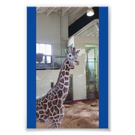 マウス4X6プリント#1 フォトプリント            (正面)