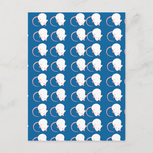 マウス ポストカード (正面)