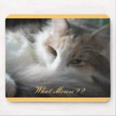 マウス?? マウスパッド (正面)