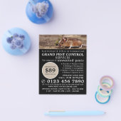 マウス、害虫駆除広告の チラシ (シングル)