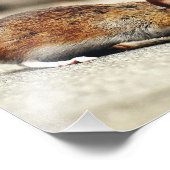 マウス（小） フォトプリント            (角)