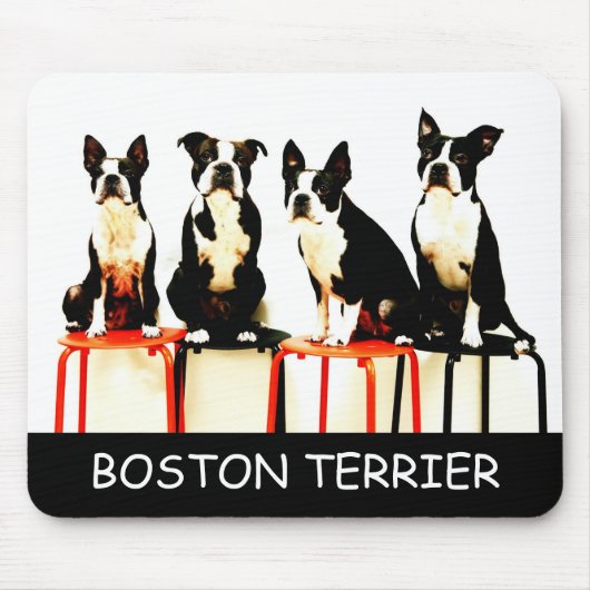 マウス (3), BOSTON TERRIER マウスパッド (正面)