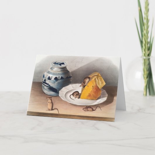 マウス(Mus-musculus)イラストレーション カード (正面)