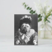 マウドッグおばさん ポストカード (スタンド正面)