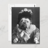 マウドッグおばさん ポストカード (正面/裏面)