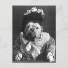 マウドッグおばさん ポストカード