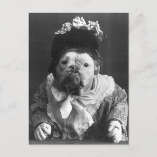 マウドッグおばさん ポストカード (正面)