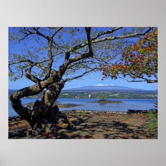 マウナケアオーバーヒロベイ ポスター (正面)