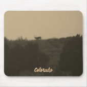 マウンテンのマウスパッドの上でバック マウスパッド (正面)