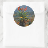 マウンテンアロエ(アロエマルロッティバーガー) 2 ラウンドシール (バッグ)