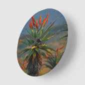 マウンテンアロエ（アロエマルロッティバーガー） 2 ラウンド壁時計 (傾斜)