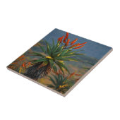 マウンテンアロエ(アロエマロティバーガー) 2 タイル (側面)