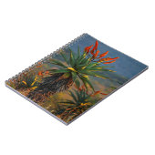 マウンテンアロエ(アロエマロティバーガー) 2 ノートブック (左側)