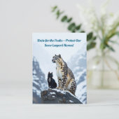 マウンテンウィスカー:フェリーニはユキヒョウに出会う インビテーションポストカード (スタンド正面)