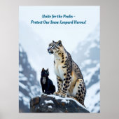 マウンテンウィスカー：フェリーニはユキヒョウに出会う ポスター (正面)