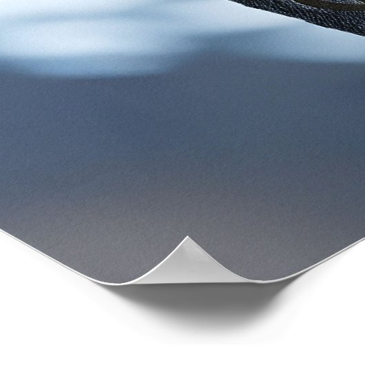 マウンテンウィスカー：フェリーニはユキヒョウに出会う ポスター (角)