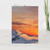 マウンテンウィンターウェディングフォトサンキューカード サンキューカード (裏面)