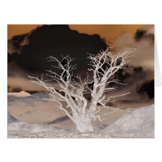 マウンテンウィンターカード (正面横)