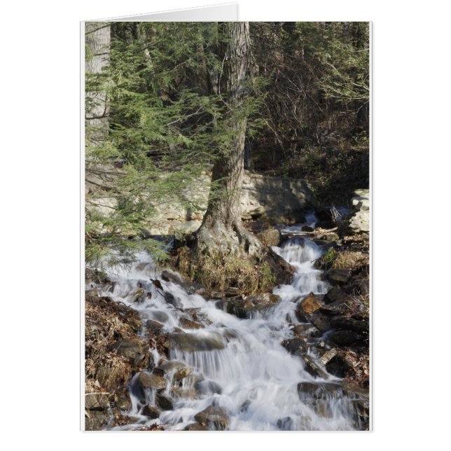 マウンテンウォーターフォール (正面)