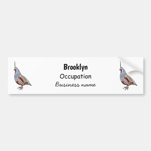 マウンテンウズラ鳥の漫画イラストレーション バンパーステッカー (正面)