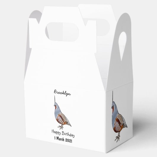 マウンテンウズラ鳥の漫画イラストレーション フェイバーボックス (オープン)