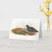 マウンテンウズラ – 鳥、 カード (黄色い花)