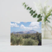 マウンテンオリーブグローブ風光明媚 ポストカード (スタンド正面)