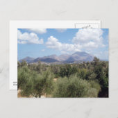 マウンテンオリーブグローブ風光明媚 ポストカード (正面/裏面)