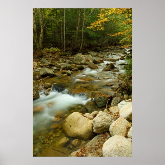 マウンテンカスケードプリント ポスター (正面)