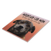 マウンテンクモマセラミックタイル タイル (側面)