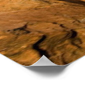 マウンテンクーガーのポスター ポスター (角)