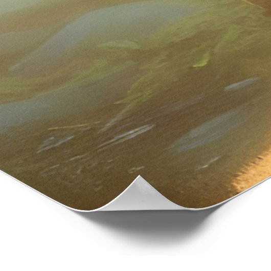 マウンテンクーガーワイルドライフポートレート ポスター (角)