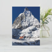 マウンテンコラージュのトナカイ シーズンカード (スタンド正面)