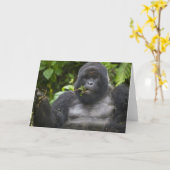 マウンテンゴリラとシルバーバック カード (黄色い花)