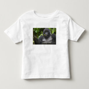 マウンテンゴリラとシルバーバック トドラーTシャツ