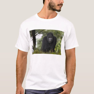 マウンテンゴリラとシルバーバック Tシャツ