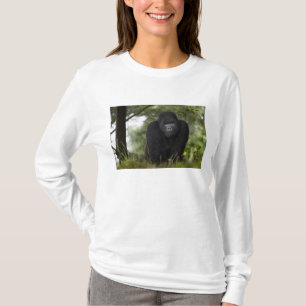 マウンテンゴリラとシルバーバック Tシャツ