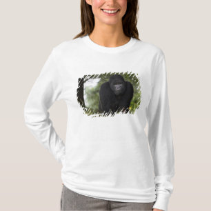 マウンテンゴリラとシルバーバック Tシャツ