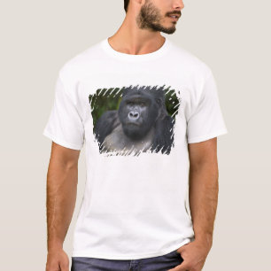 マウンテンゴリラとシルバーバック Tシャツ
