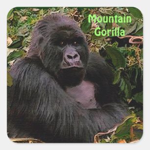 マウンテンゴリラアフリカ野生動物のシール スクエアシール