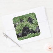 マウンテンゴリラグループスクエアステッカー スクエアシール (封筒)